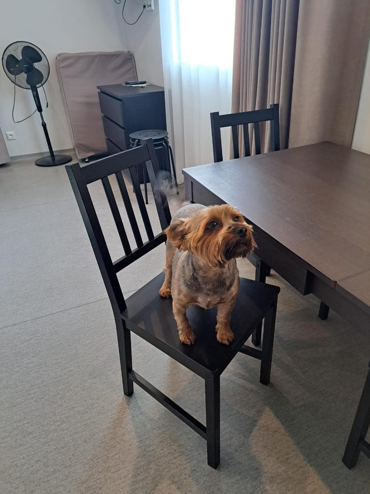 Jaunamuiza Apartamenti Valmiera Exteriér fotografie