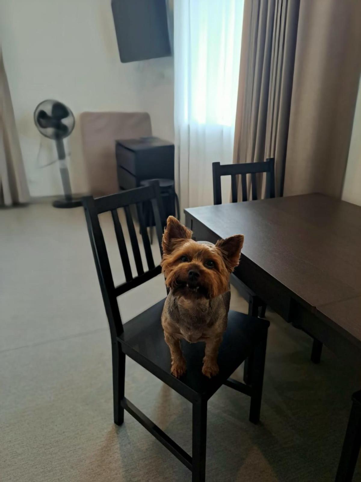 Jaunamuiza Apartamenti Valmiera Exteriér fotografie